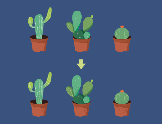 ai compare cactus