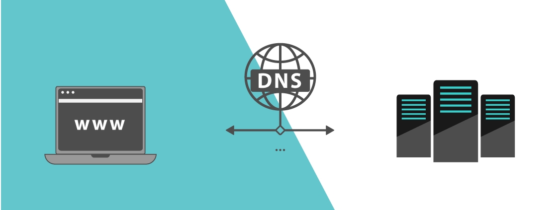 web_dns_cover